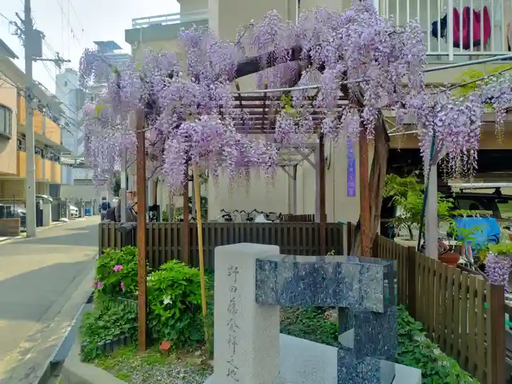 藤之宮 春日神社(野田の藤跡)(大阪府)