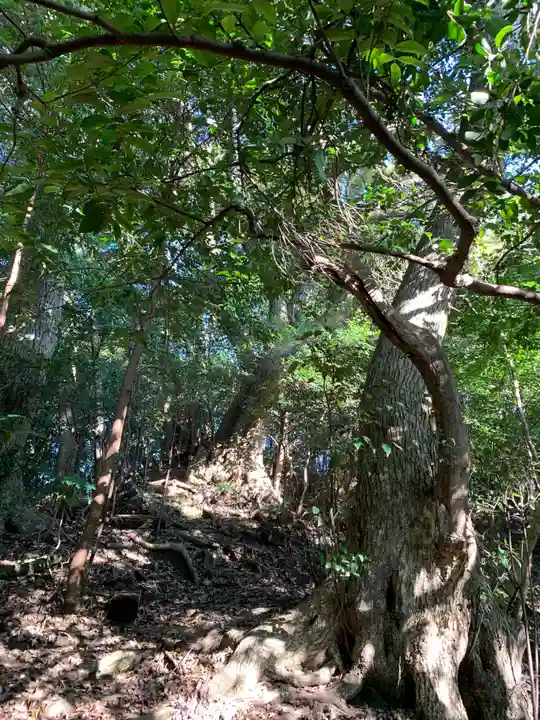 高瀧神社の自然