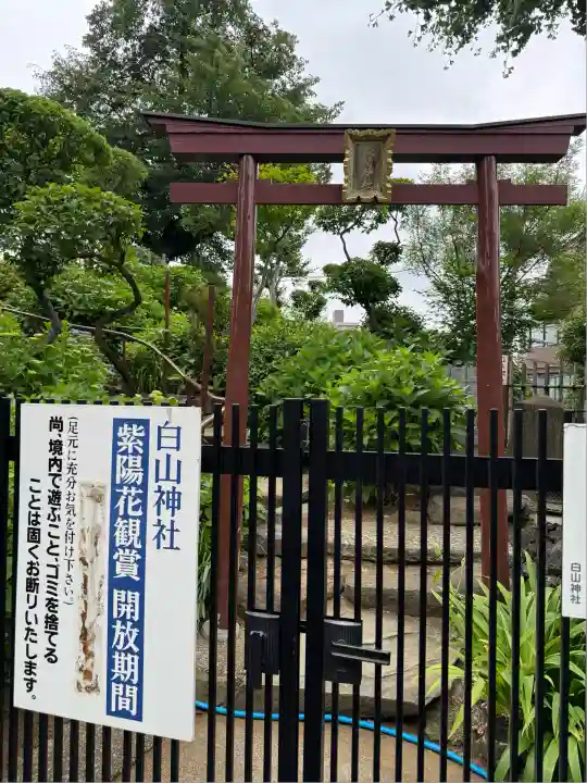 白山神社(東京都)