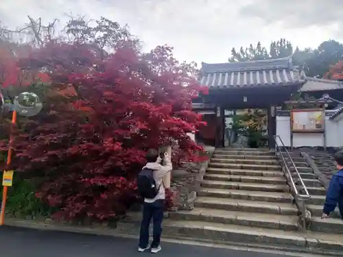 光明院（光明禅院）(京都府)