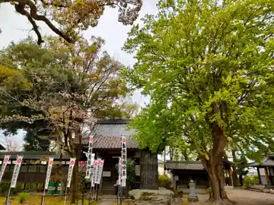 音楽寺のその他建物