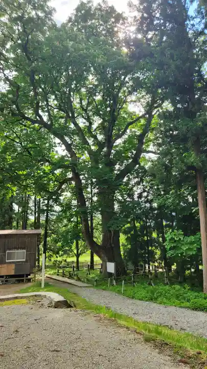 光清寺(山形県)