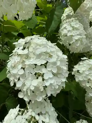 神炊館神社 ⁂奥州須賀川総鎮守⁂(福島県)