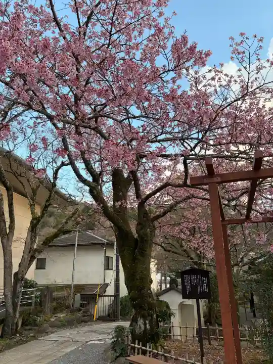 修禅寺の{uncategorized: "未分類", other: "その他", undefined: "問題あり", building: "その他建物", grave: "お墓", sacred_gate: "鳥居", guardian: "狛犬", statue: "像", buddha: "仏像", history: "歴史", nature: "自然", garden: "庭園", animal: "動物", pagoda: "塔", temizu: "手水舎", mountain_gate: "山門・神門", sanctuary: "本殿・本堂", subordinate: "末社・摂社", art: "芸術", scenery: "景色", jizo: "地蔵", ema: "絵馬", goshuin: "御朱印", omikuji: "おみくじ", items: "授与品その他", amulet: "お守り", goshuincho: "御朱印帳", eats: "食事", festival: "お祭り", votive_dance: "神楽", shichigosan: "七五三参", wedding: "結婚式", experience: "体験その他", initially: "初詣", around: "周辺", anti_infection: "感染症対策"}