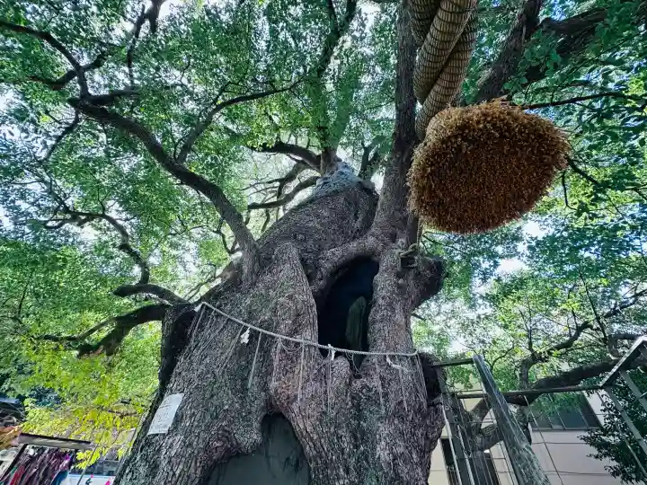 山王神社(長崎県)