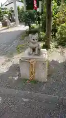 阿豆佐味天神社 立川水天宮の狛犬