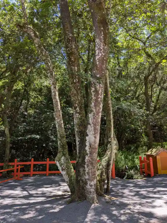 宇佐神宮(大分県)