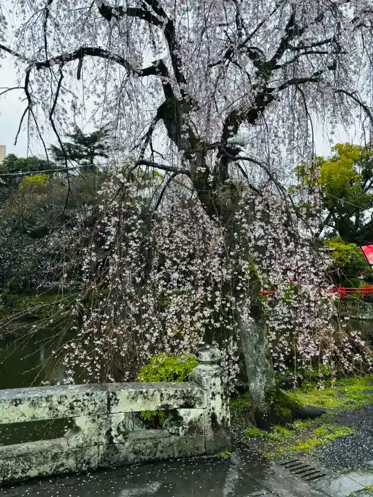 三嶋大社の{uncategorized: "未分類", other: "その他", undefined: "問題あり", building: "その他建物", grave: "お墓", sacred_gate: "鳥居", guardian: "狛犬", statue: "像", buddha: "仏像", history: "歴史", nature: "自然", garden: "庭園", animal: "動物", pagoda: "塔", temizu: "手水舎", mountain_gate: "山門・神門", sanctuary: "本殿・本堂", subordinate: "末社・摂社", art: "芸術", scenery: "景色", jizo: "地蔵", ema: "絵馬", goshuin: "御朱印", omikuji: "おみくじ", items: "授与品その他", amulet: "お守り", goshuincho: "御朱印帳", eats: "食事", festival: "お祭り", votive_dance: "神楽", shichigosan: "七五三参", wedding: "結婚式", experience: "体験その他", initially: "初詣", around: "周辺", anti_infection: "感染症対策"}