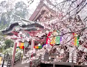 埼玉厄除け開運大師・龍泉寺(切り絵御朱印発祥の寺)の自然(2020年03月30日(月) 20時37分16秒投稿)