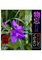 耕田院(山形県)