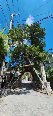 荏柄天神社(神奈川県)