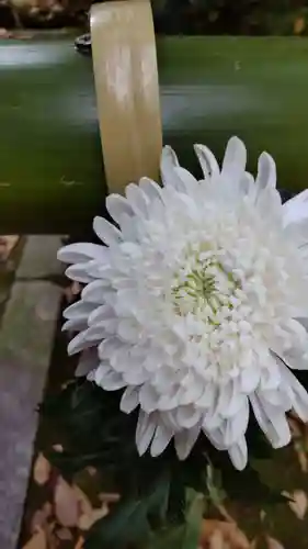 心行寺(神奈川県)