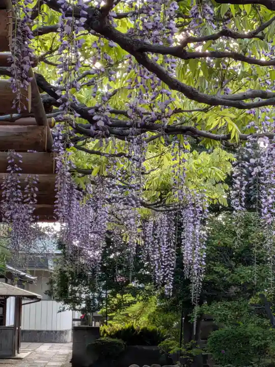 愛染院(東京都)