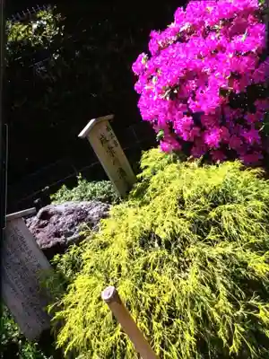 須賀神社（成宗）(東京都)