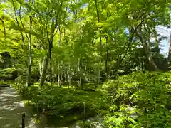 祇王寺(京都府)