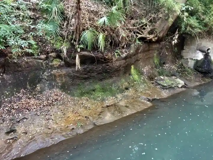明王院(満願寺別院)の自然