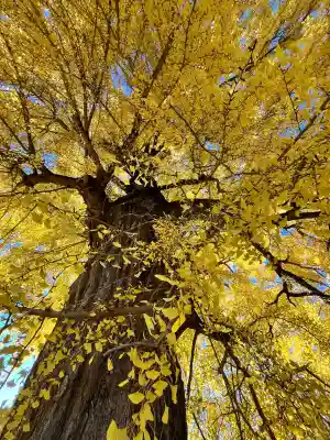 丹生酒殿神社(和歌山県)
