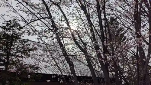 鷹栖神社の自然