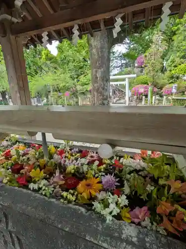 鳩森八幡神社(東京都)