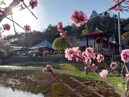 棲真寺の庭園