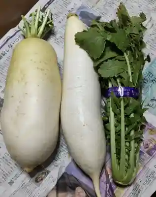海南神社(神奈川県)