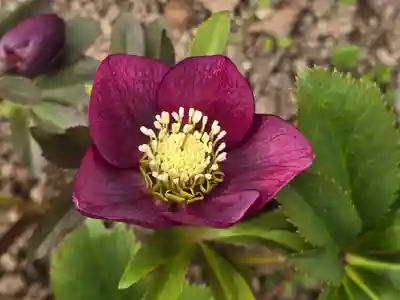 円照寺(兵庫県)