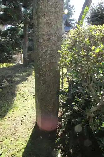 覚王寺のその他建物