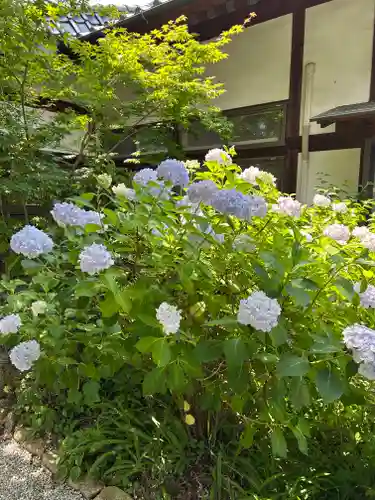 長光寺(長野県)