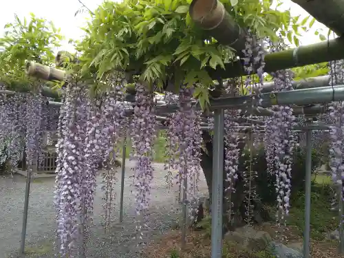 永福寺　童子堂(埼玉県)