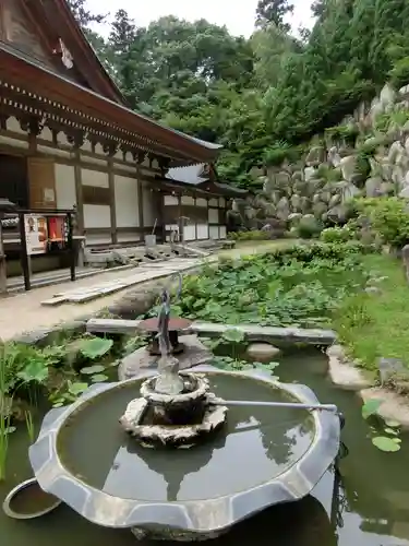 観音正寺の庭園