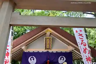 佐瑠女神社(猿田彦神社境内社)の鳥居