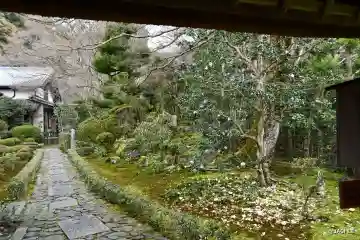 安楽寺の{uncategorized: "未分類", other: "その他", undefined: "問題あり", building: "その他建物", grave: "お墓", sacred_gate: "鳥居", guardian: "狛犬", statue: "像", buddha: "仏像", history: "歴史", nature: "自然", garden: "庭園", animal: "動物", pagoda: "塔", temizu: "手水舎", mountain_gate: "山門・神門", sanctuary: "本殿・本堂", subordinate: "末社・摂社", art: "芸術", scenery: "景色", jizo: "地蔵", ema: "絵馬", goshuin: "御朱印", omikuji: "おみくじ", items: "授与品その他", amulet: "お守り", goshuincho: "御朱印帳", eats: "食事", festival: "お祭り", votive_dance: "神楽", shichigosan: "七五三参", wedding: "結婚式", experience: "体験その他", initially: "初詣", around: "周辺", anti_infection: "感染症対策"}