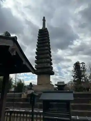 般若寺 ❁﻿コスモス寺❁(奈良県)