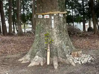 西之宮神社(滋賀県)