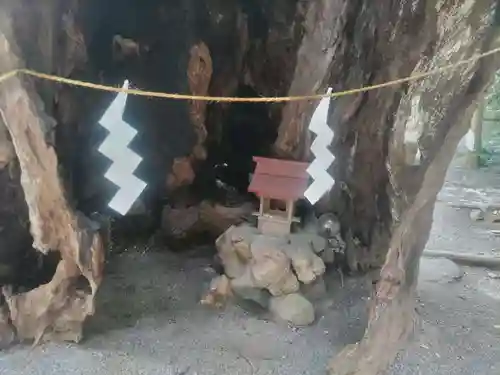 來宮神社(静岡県)