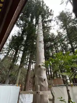 諏訪大社下社春宮(長野県)