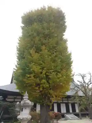 月山寺(茨城県)