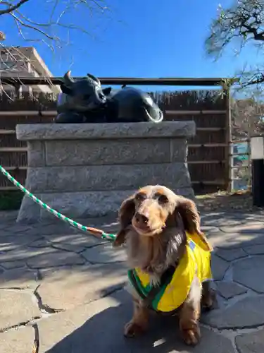 泥牛庵(神奈川県)