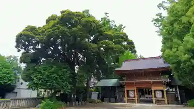 八幡大神社のその他建物