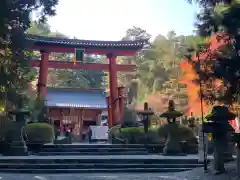 北口本宮冨士浅間神社の鳥居