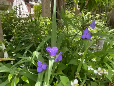 沙沙貴神社(滋賀県)