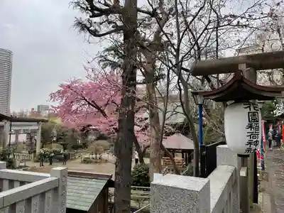 花園稲荷神社(東京都)