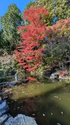 善峯寺(京都府)