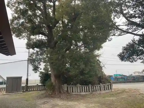 雨降神社(徳島県)