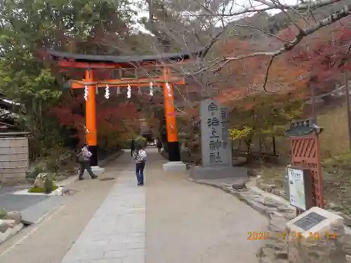 宇治上神社の鳥居