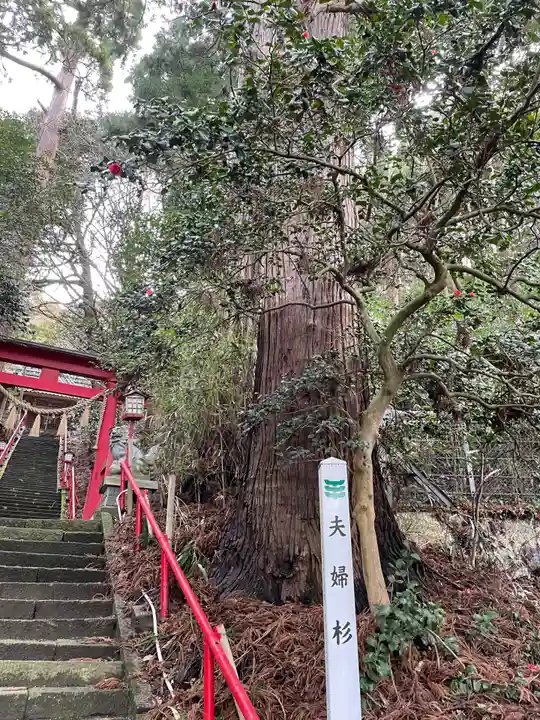 七高神社(秋田県)