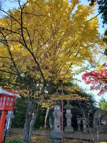 神炊館神社 ⁂奥州須賀川総鎮守⁂(福島県)