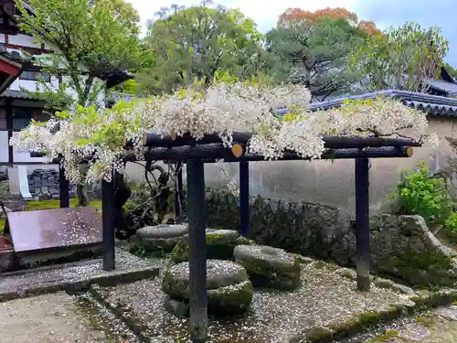唐招提寺のその他建物