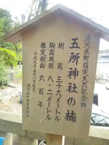 五所神社(神奈川県)