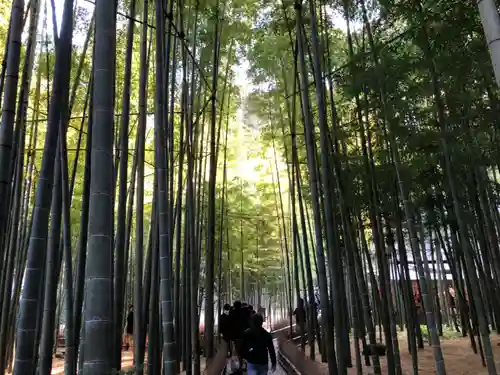 報国寺(神奈川県)